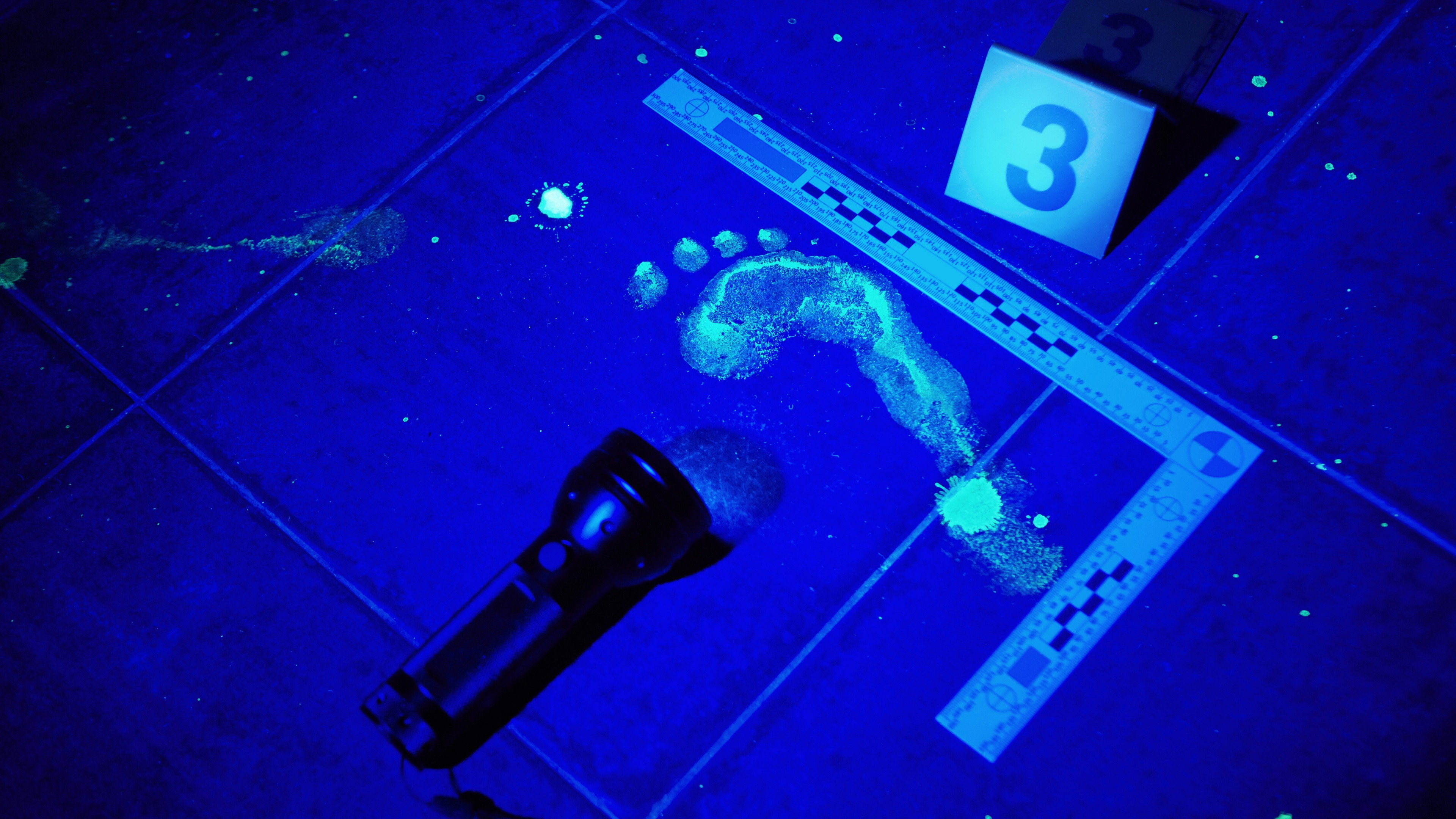 Forensic Files's poster