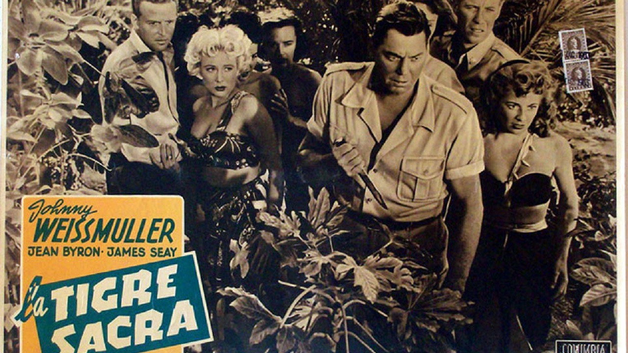 Voodoo Tiger's poster