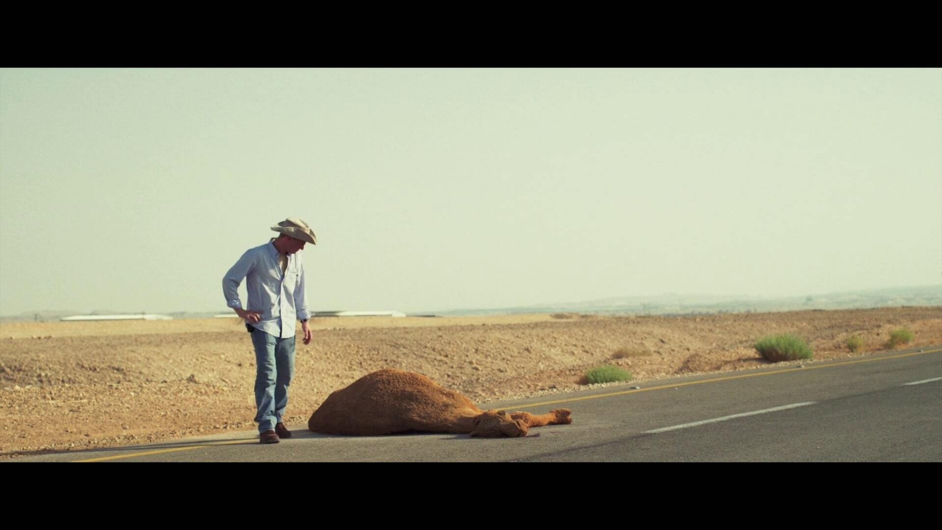 Kilometer 147's poster
