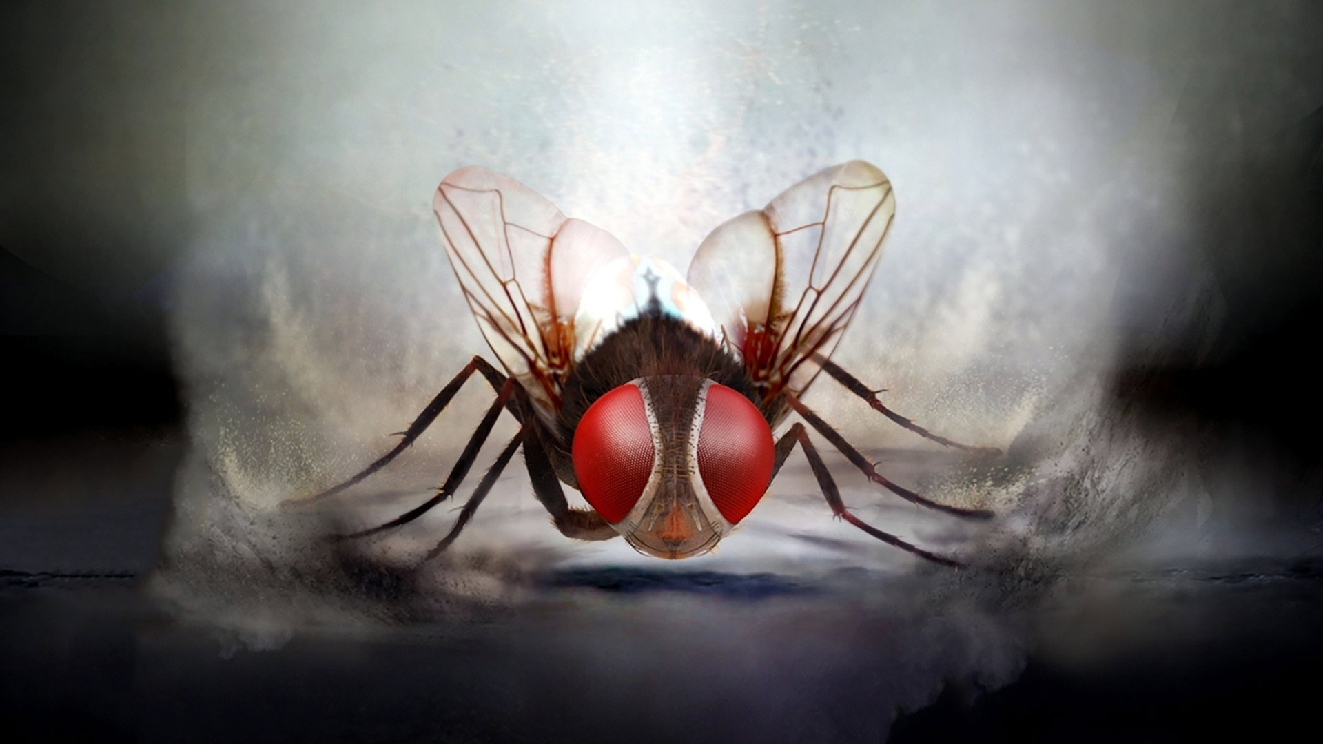 Eega's poster