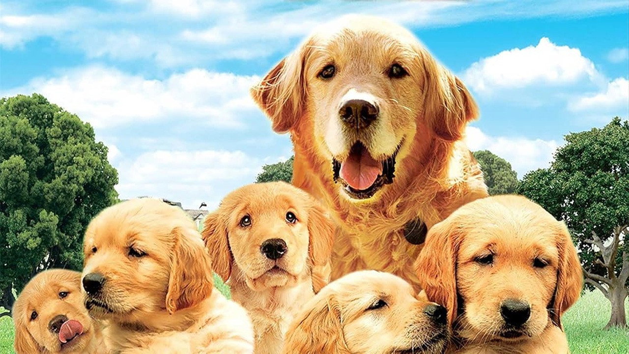 The Retrievers's poster