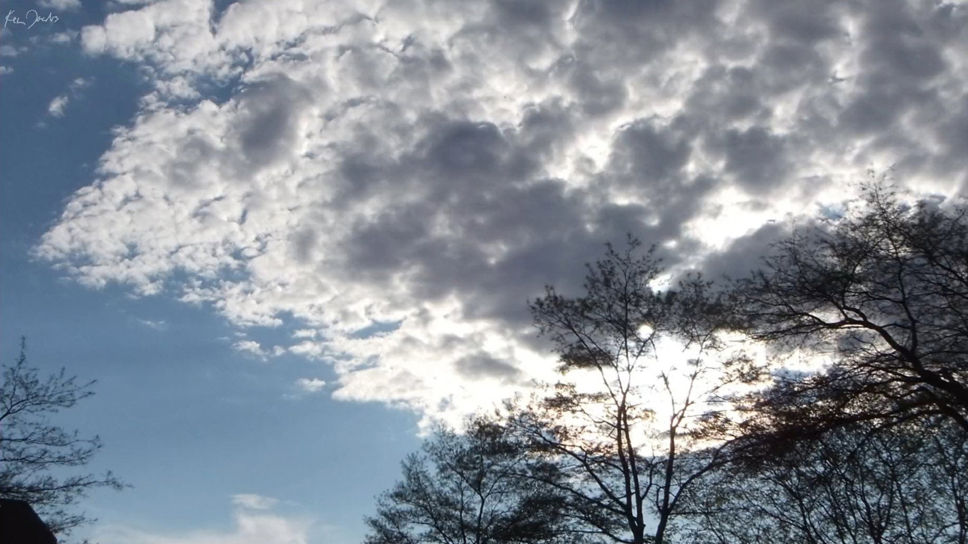 Clouds and Trees's poster