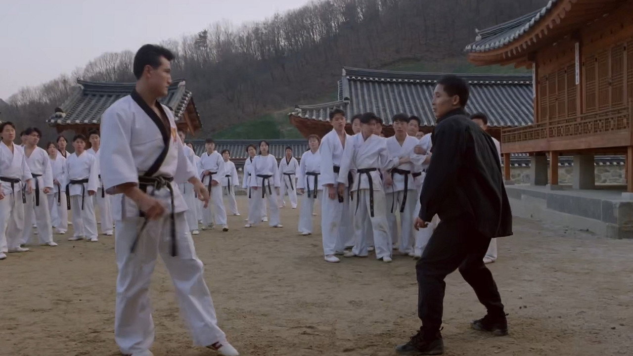 Taekwon Fighter's poster