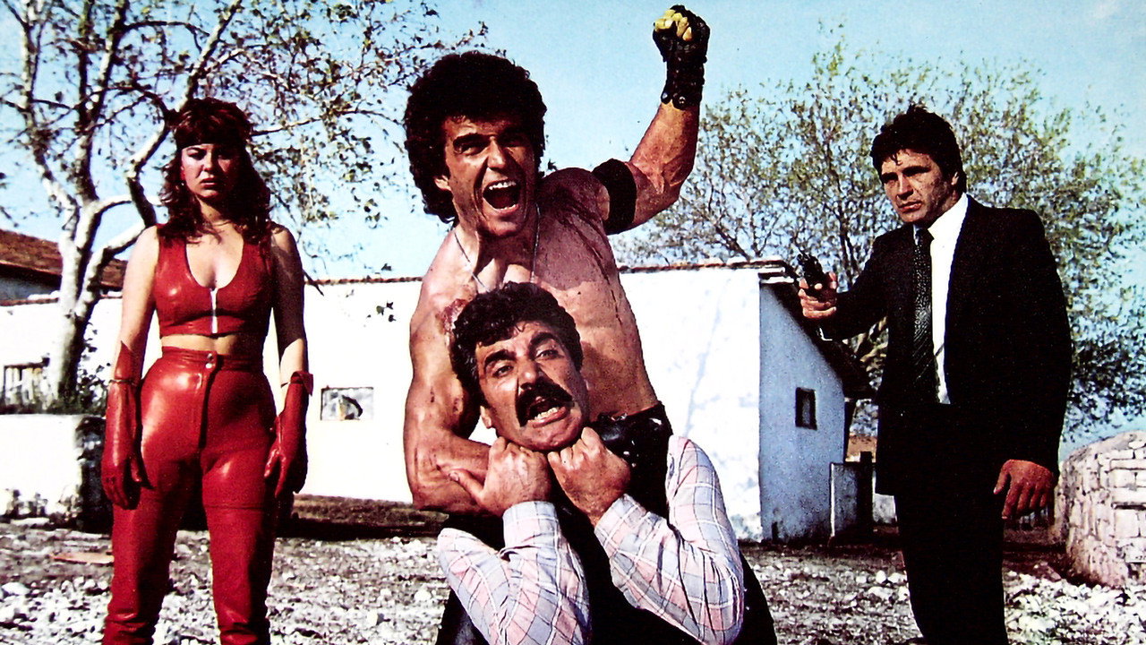 İntikamcı's poster