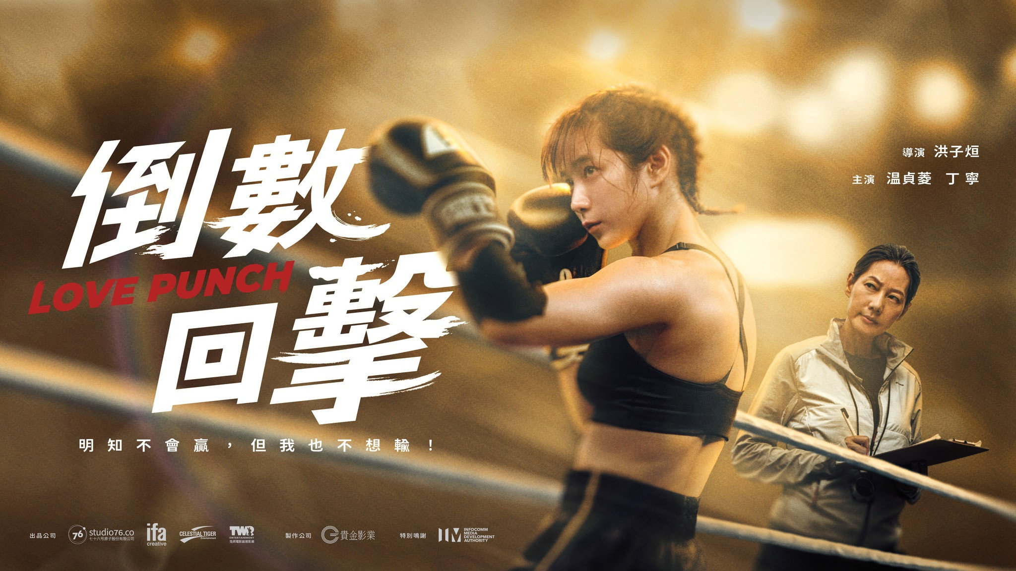 Love Punch's poster