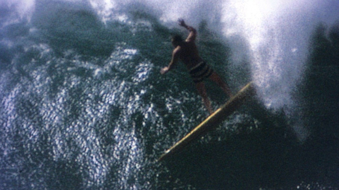 Water-Logged's poster
