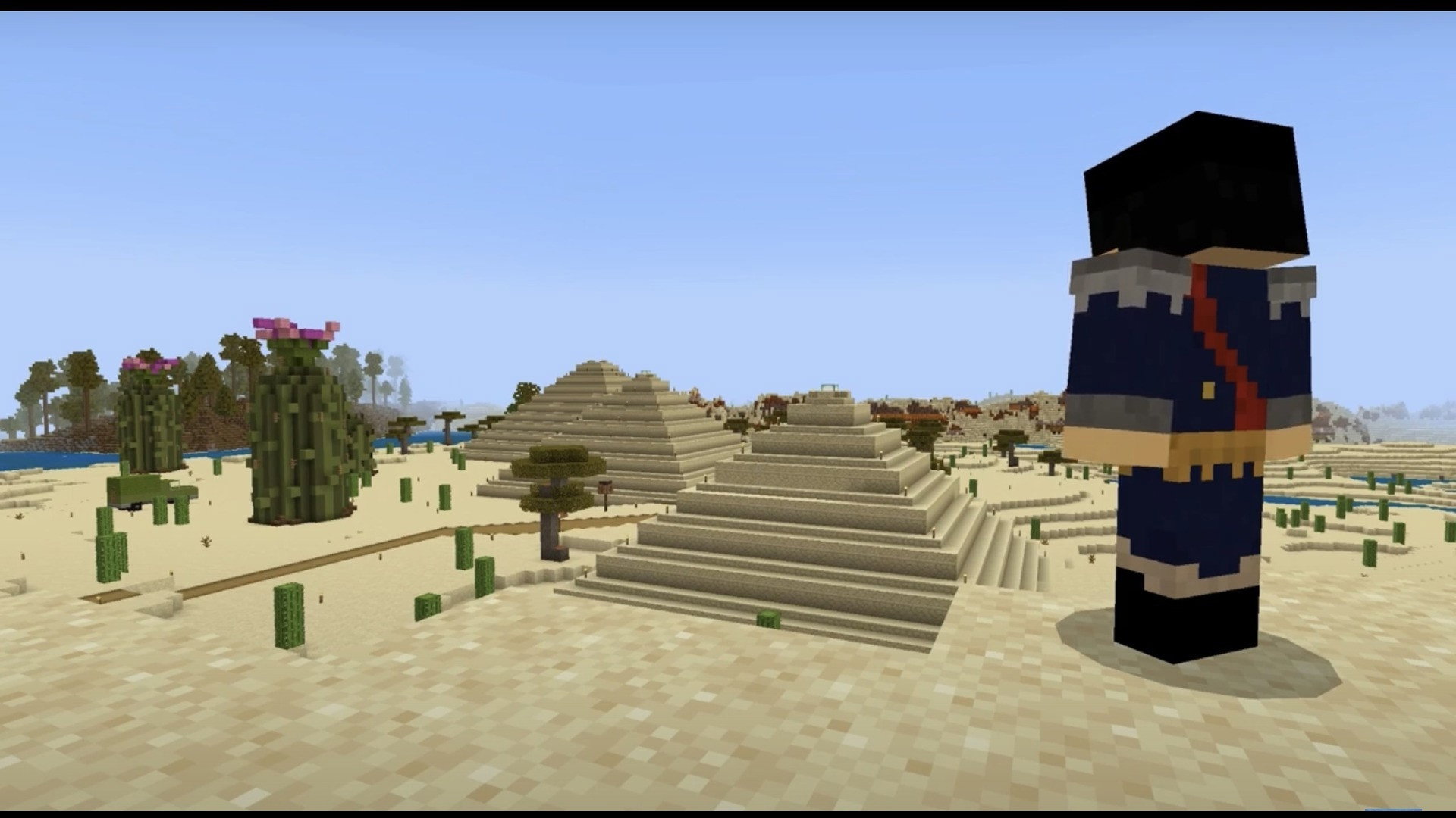 Block Nations SMP's poster