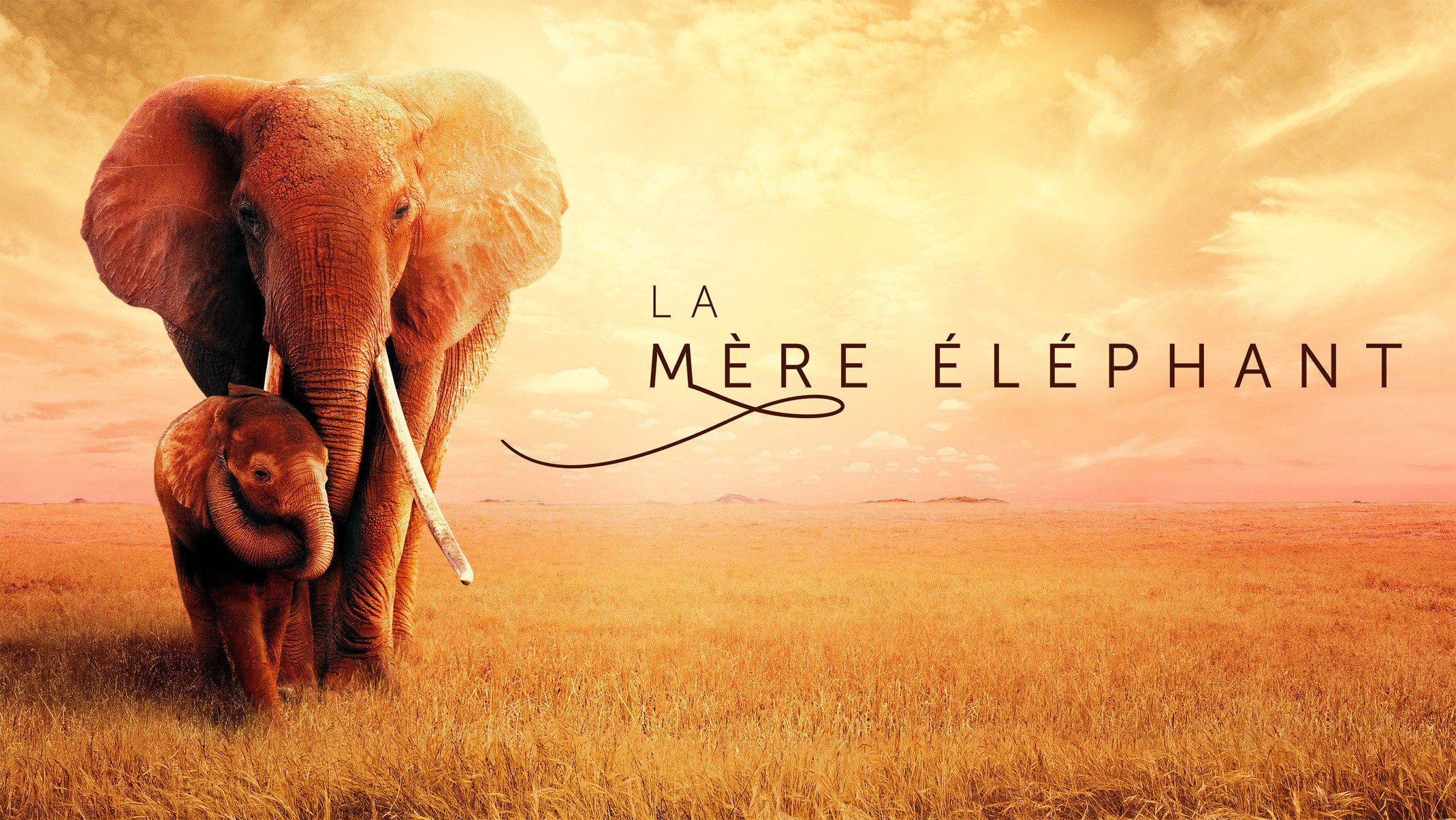 The Elephant Queen's poster