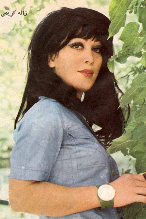 Zhaleh Karimi's poster