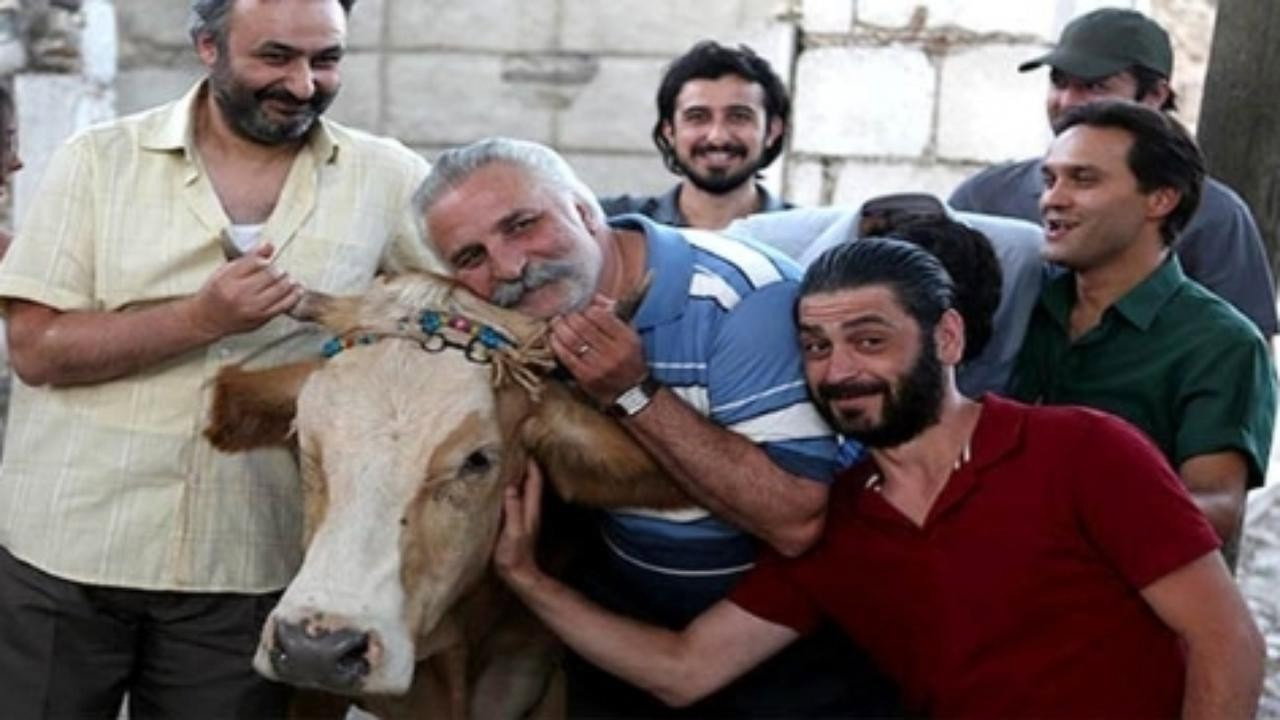 The Exiled Cow's poster