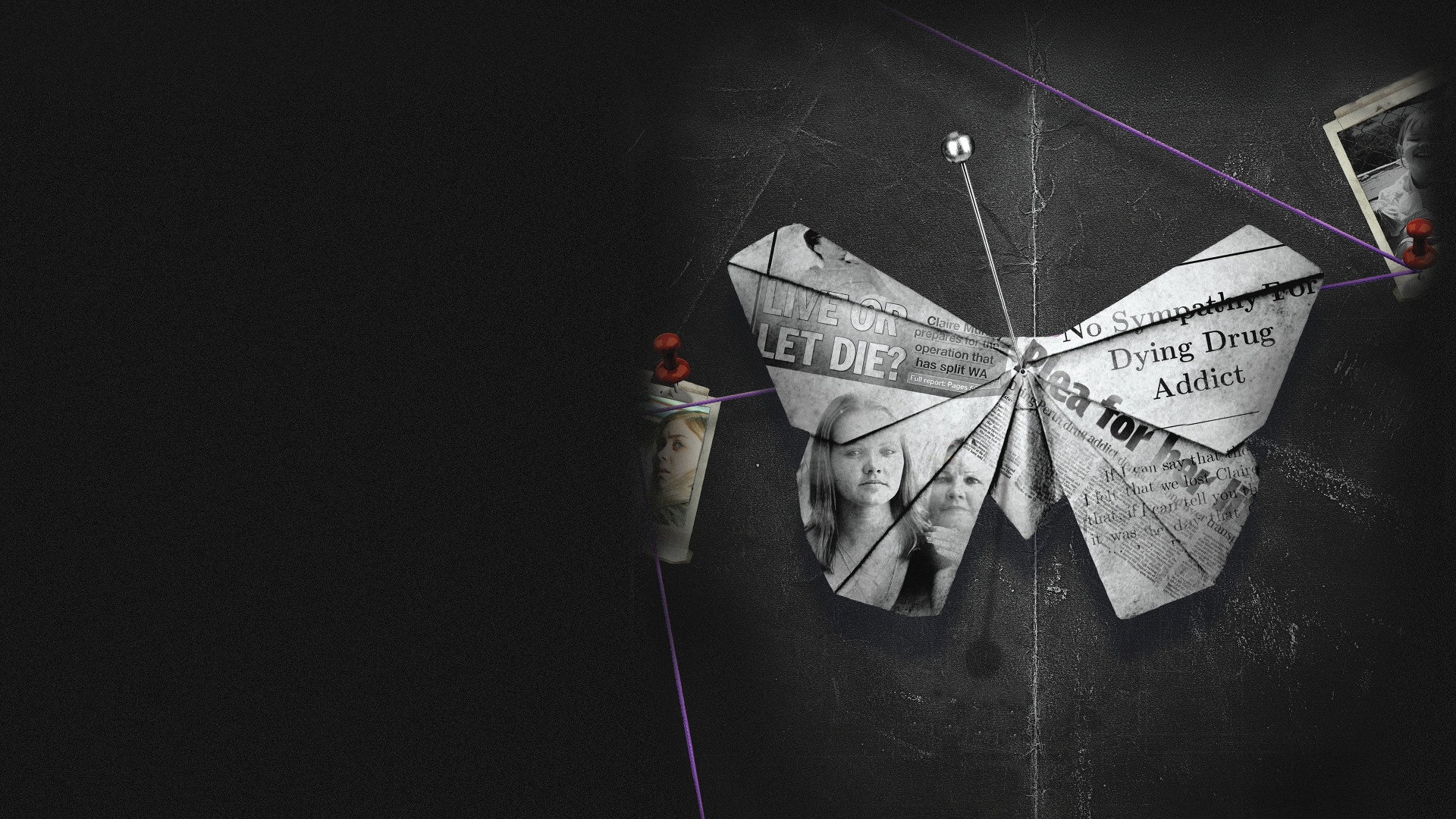 Wild Butterfly's poster