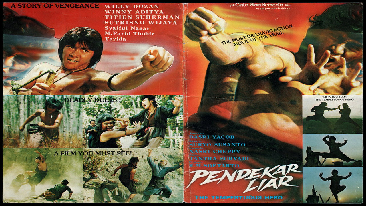 Wild Fighter's poster