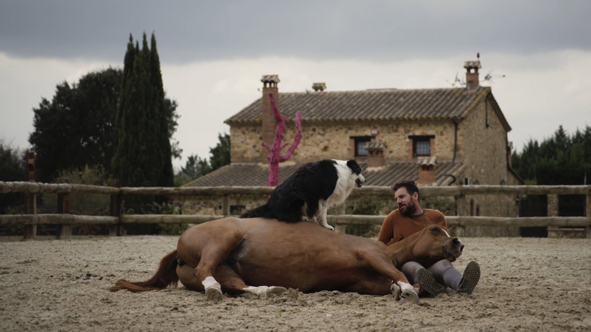 Hermano caballo's poster