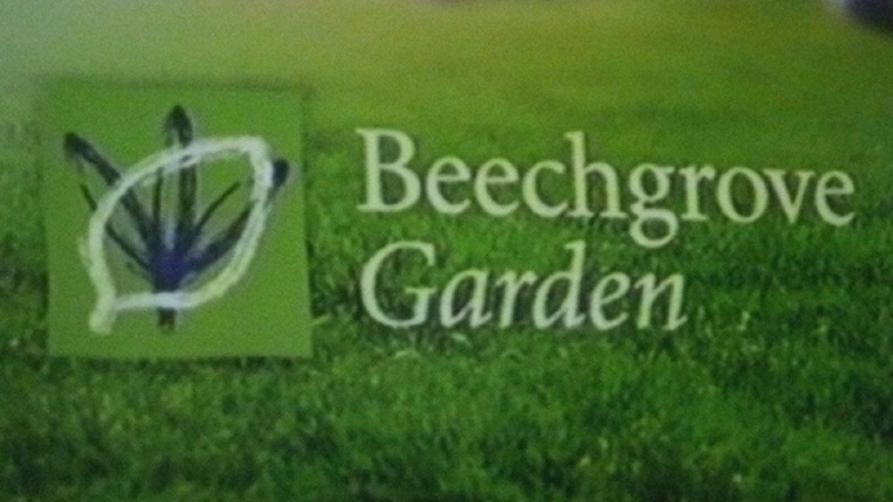 Beechgrove Garden's poster