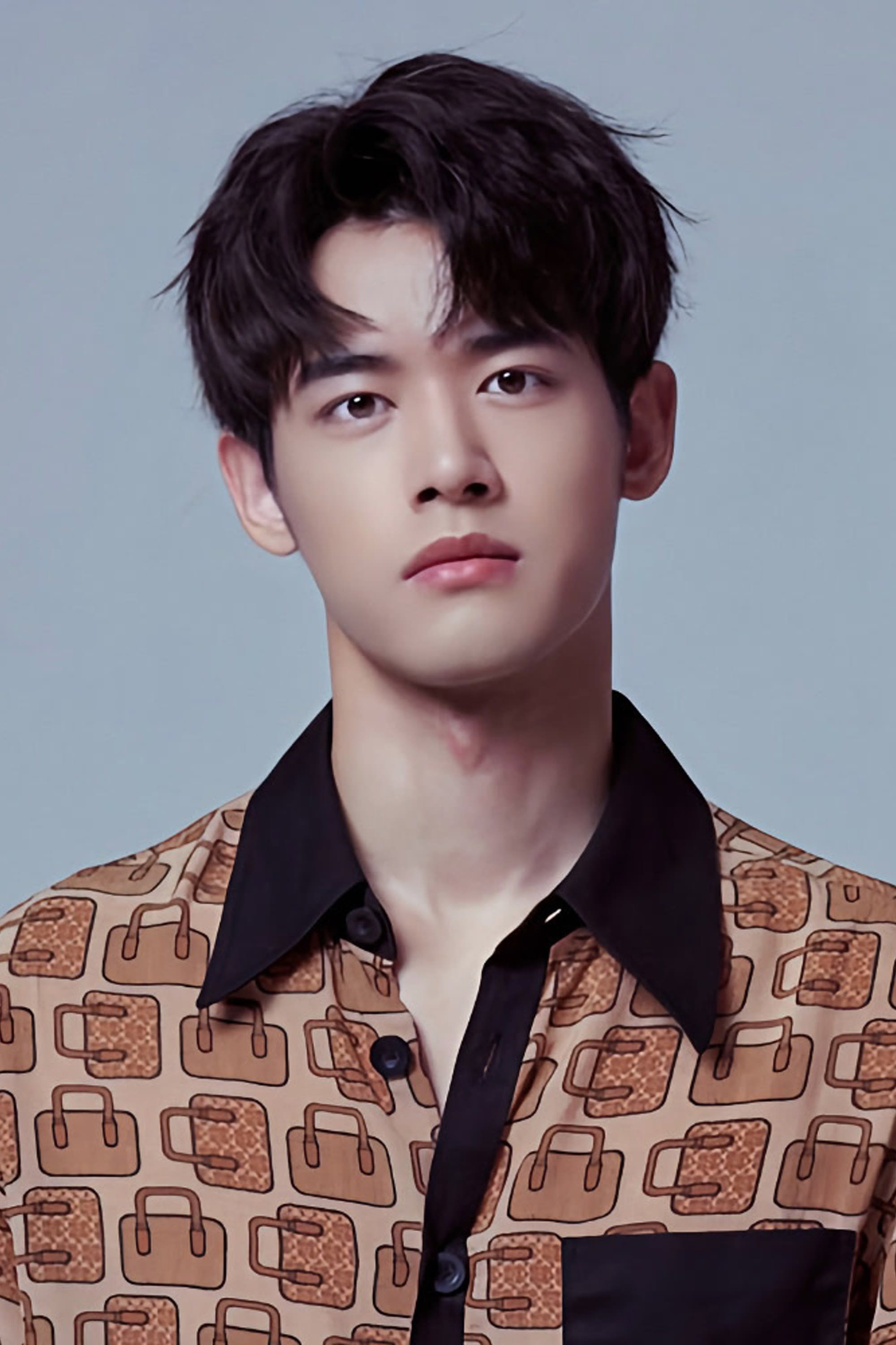 Liu Dongqin's poster