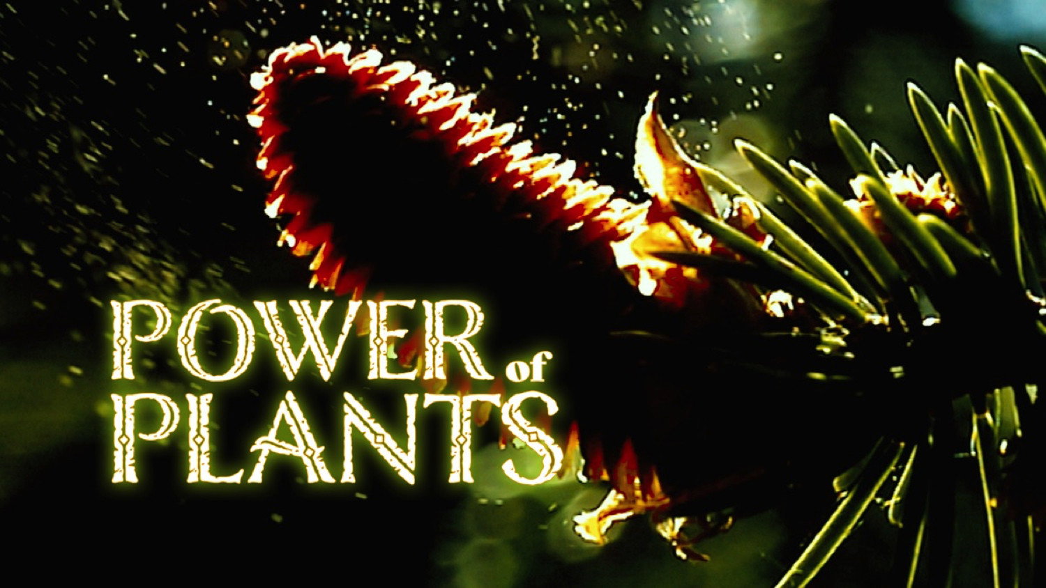 Power Of Plants's poster