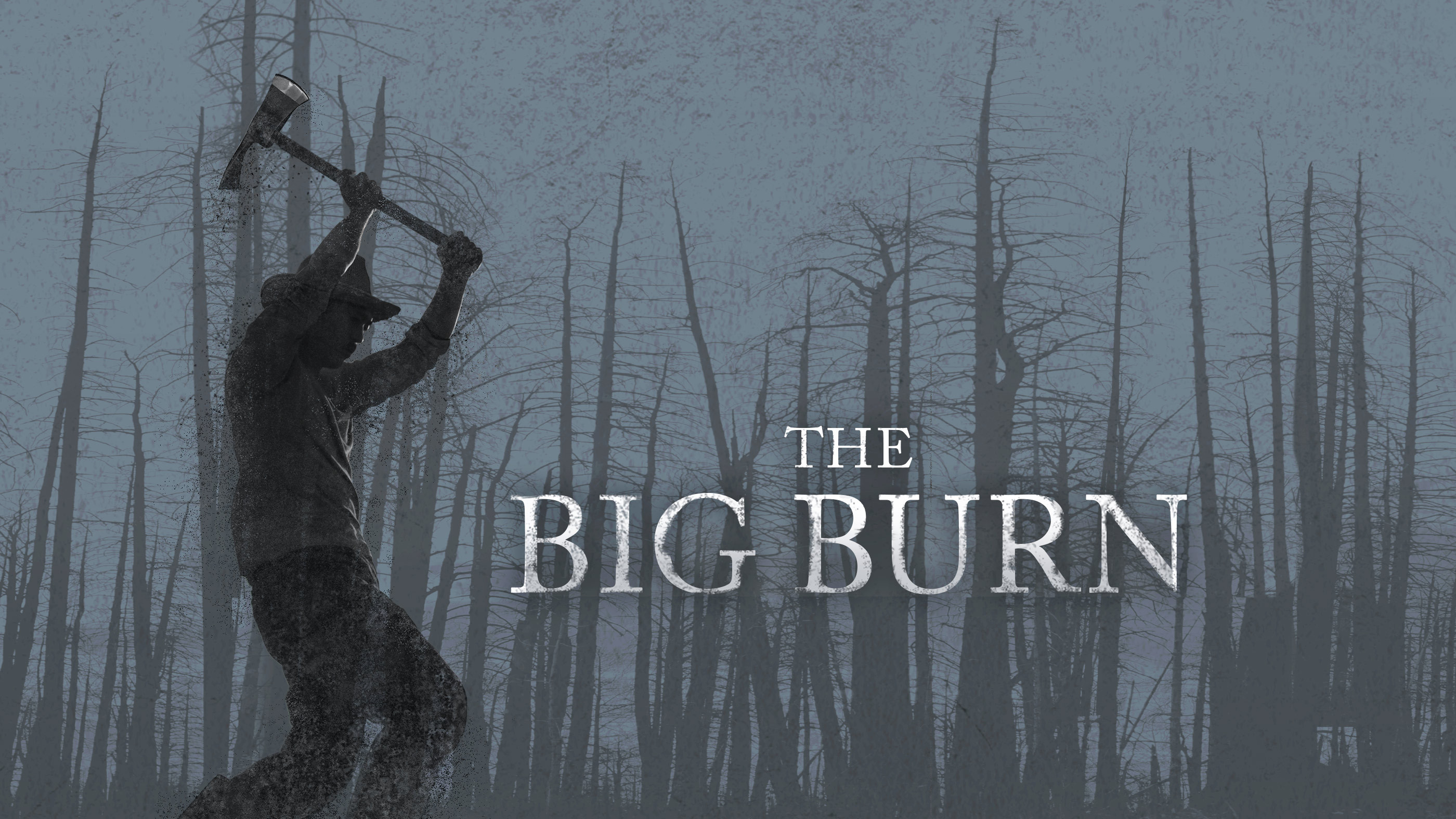 The Big Burn's poster