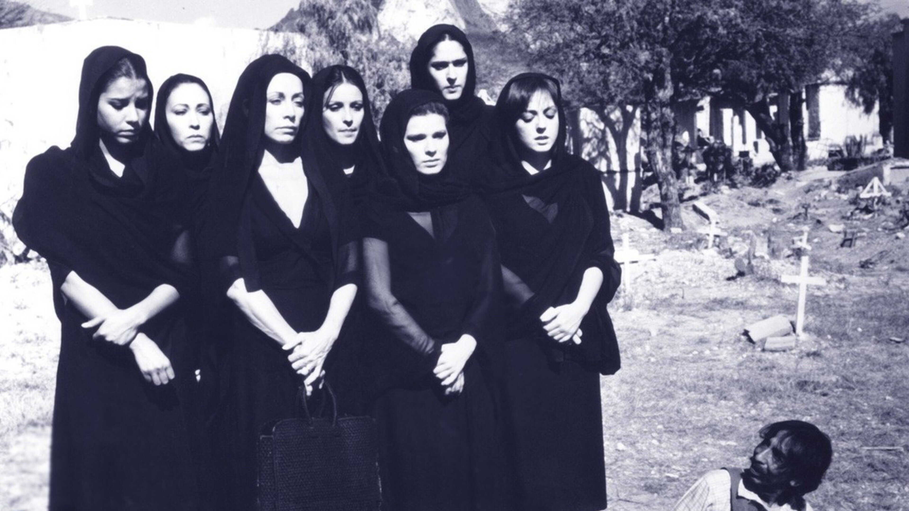 The Seven Cucas's poster