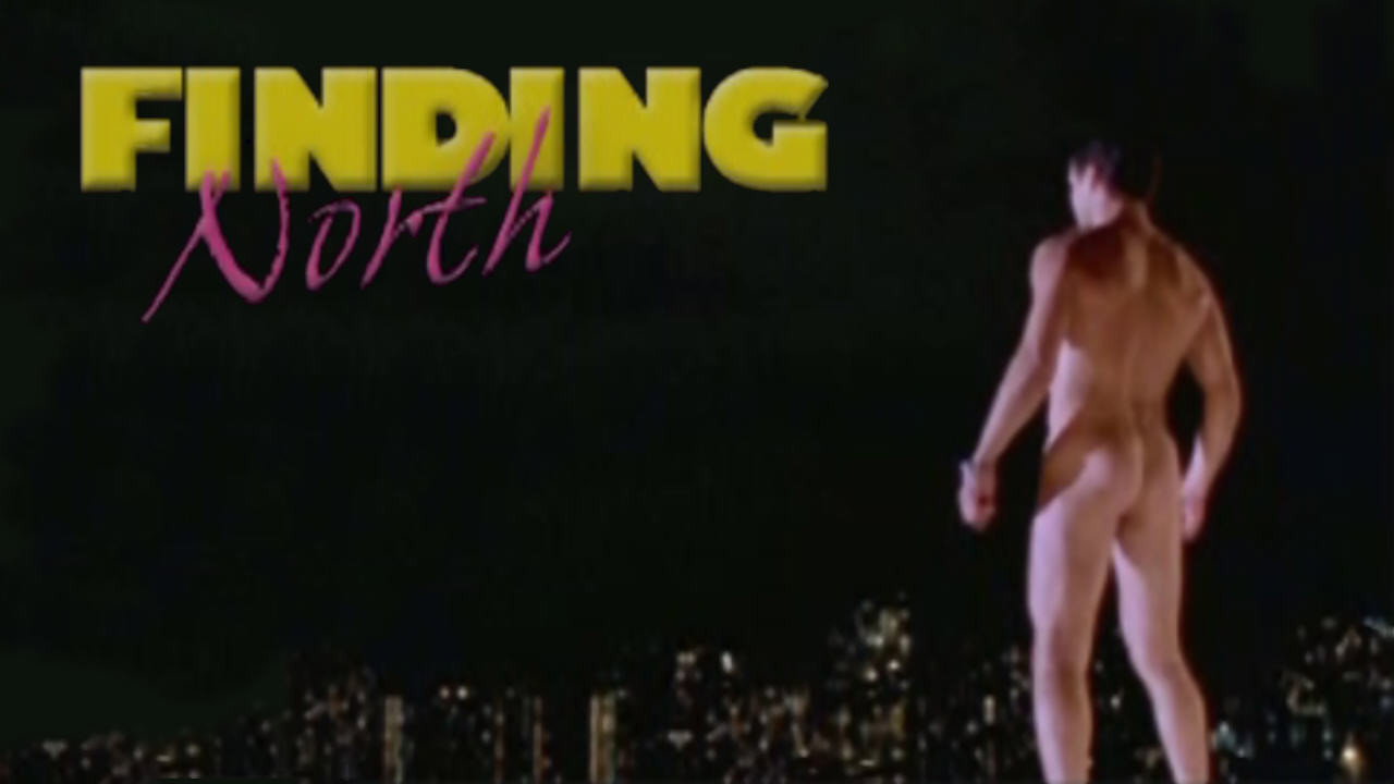Finding North's poster