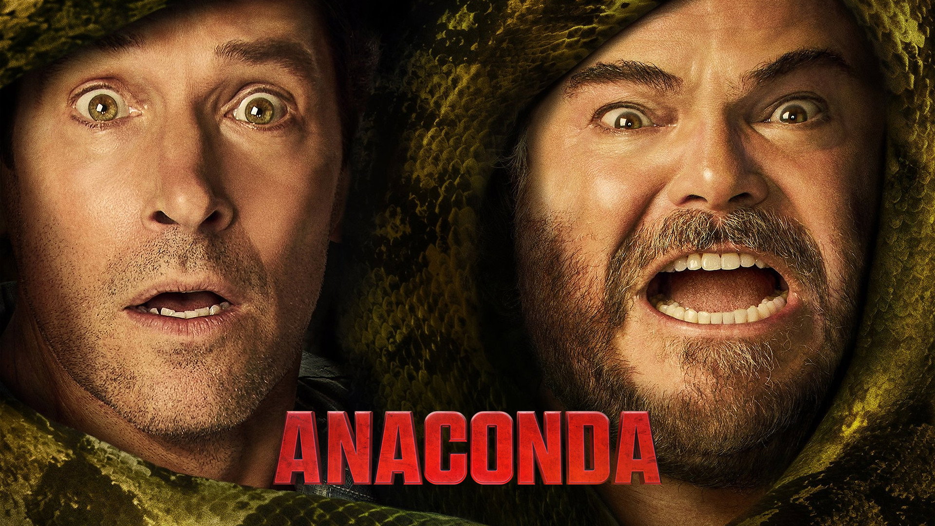 Anaconda's poster