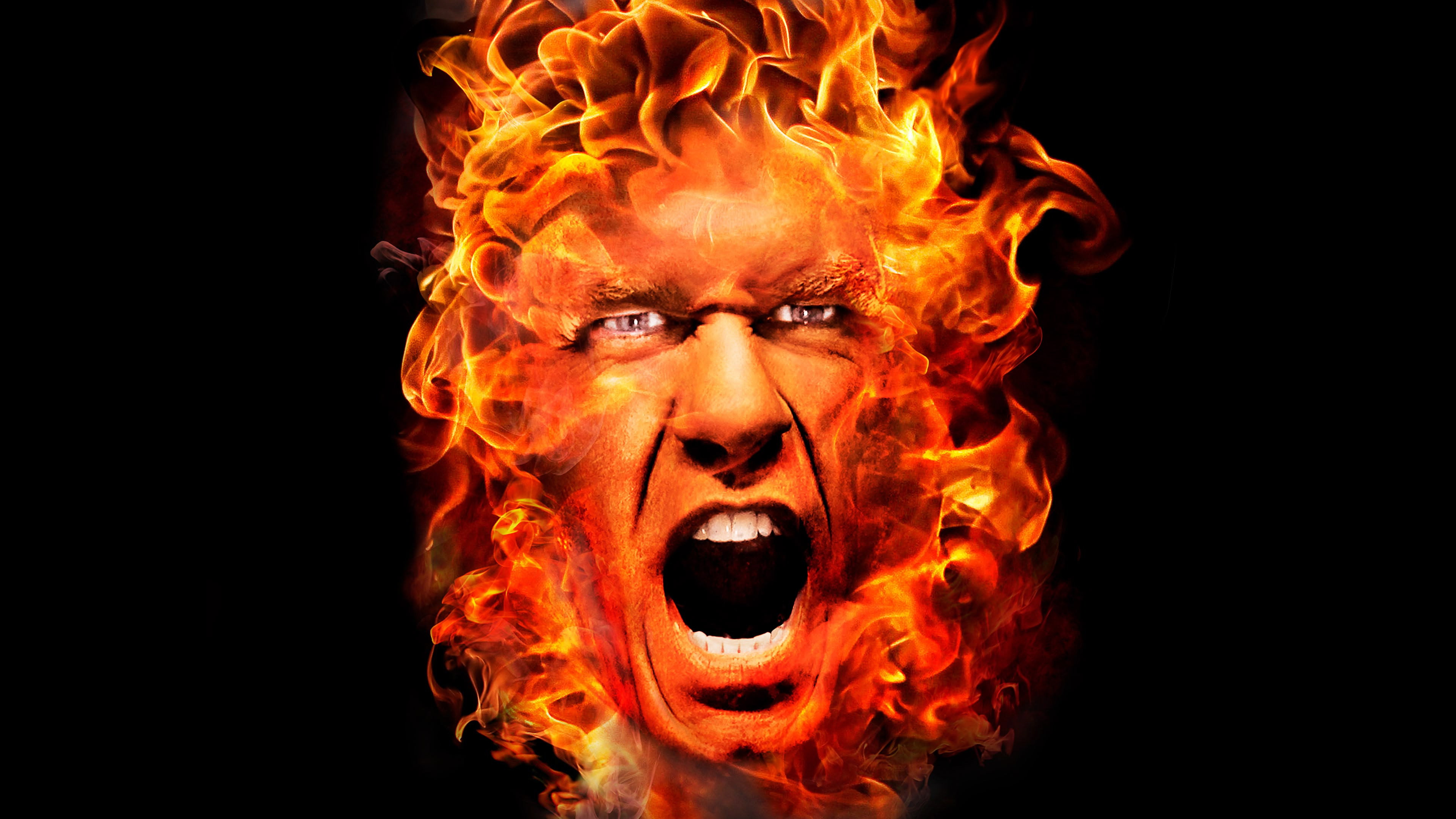 WWE Hell in a Cell 2011's poster