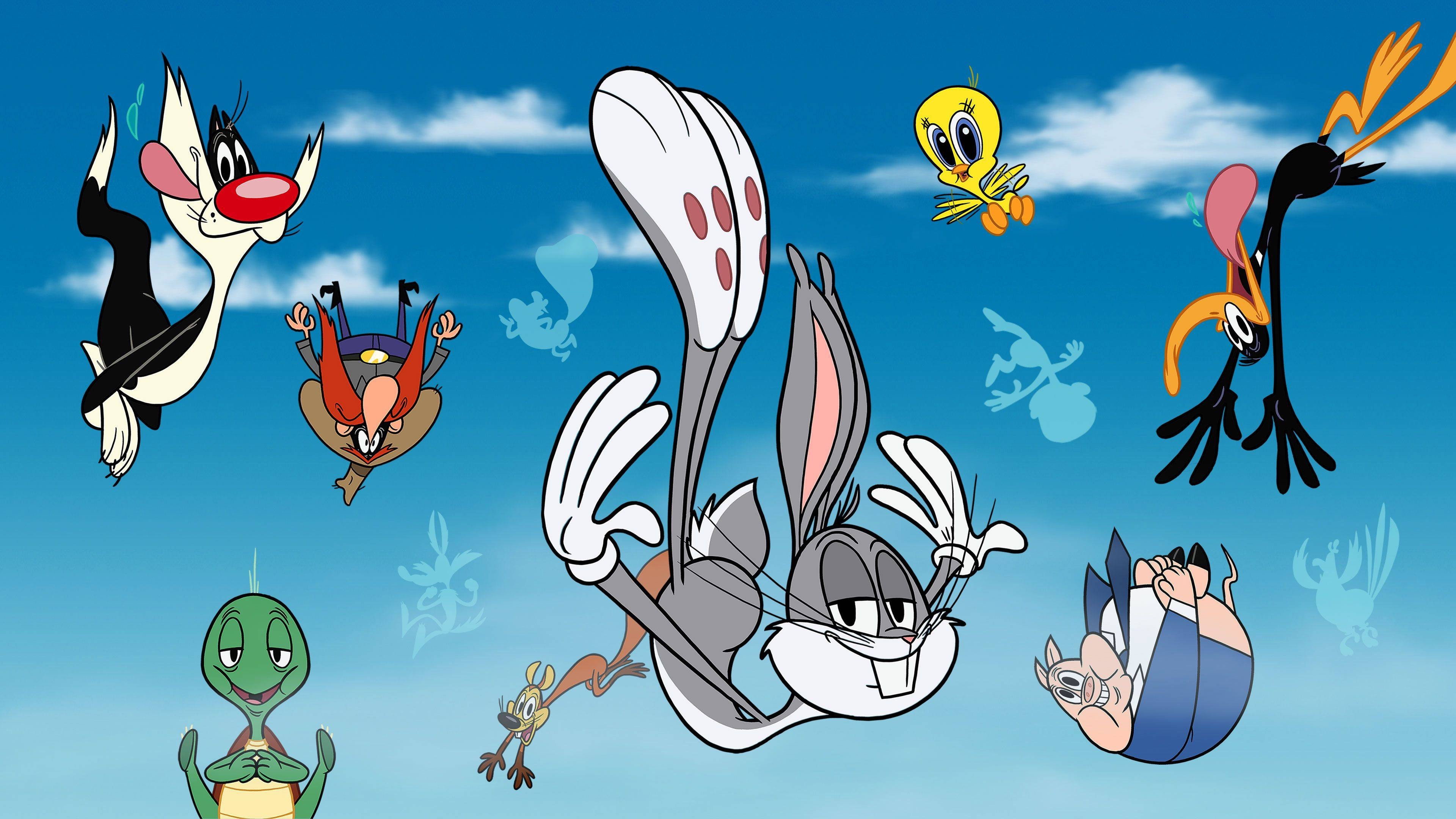 New Looney Tunes's poster