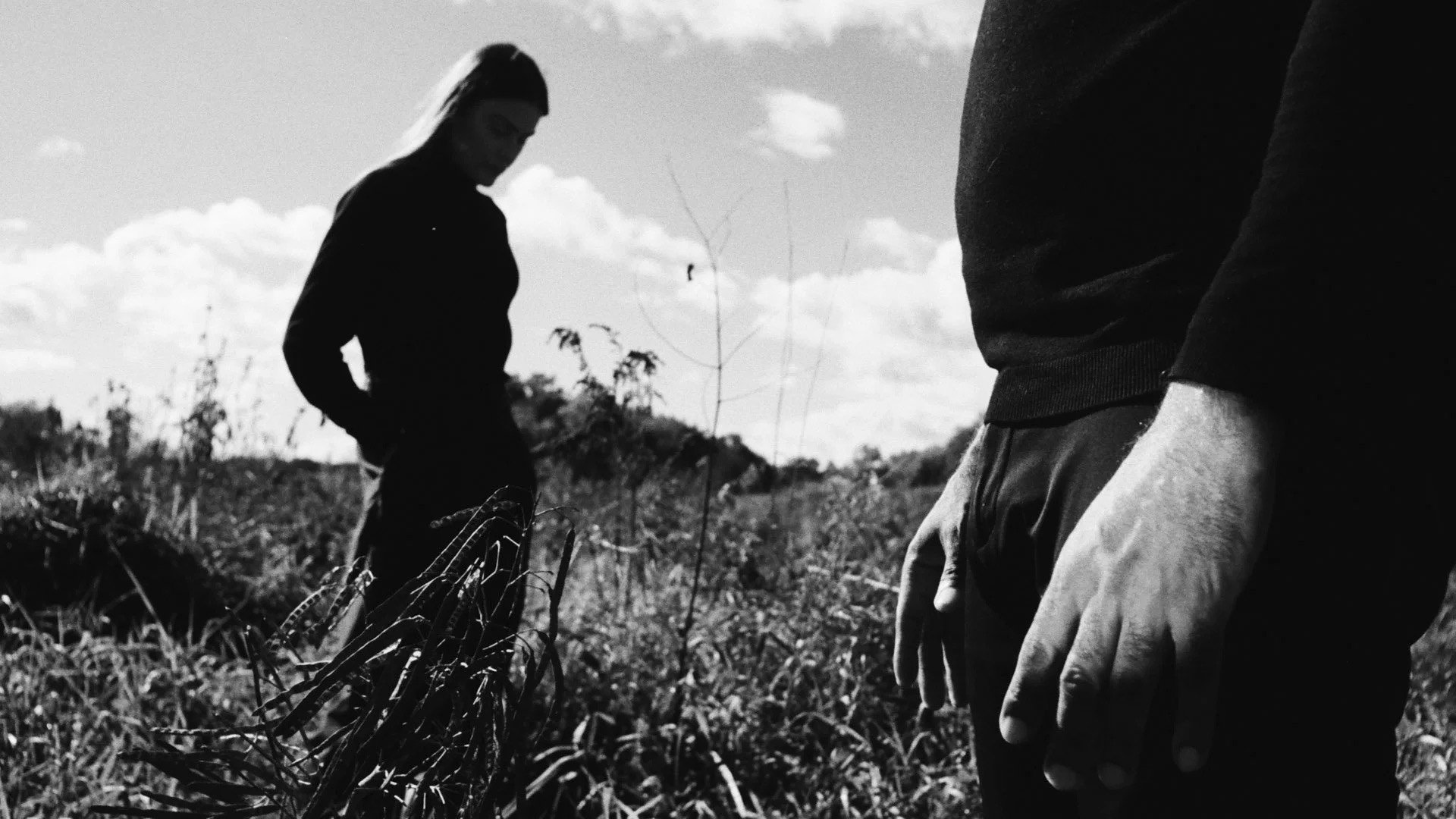 The Meadow's poster