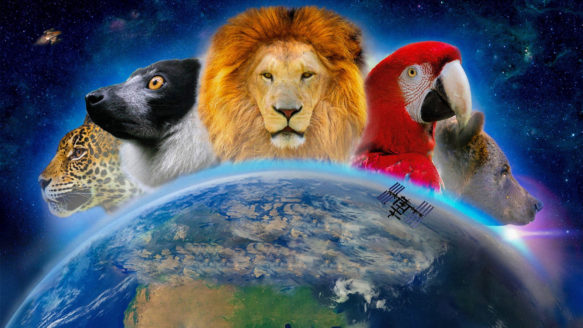 Wonderful World 3D's poster