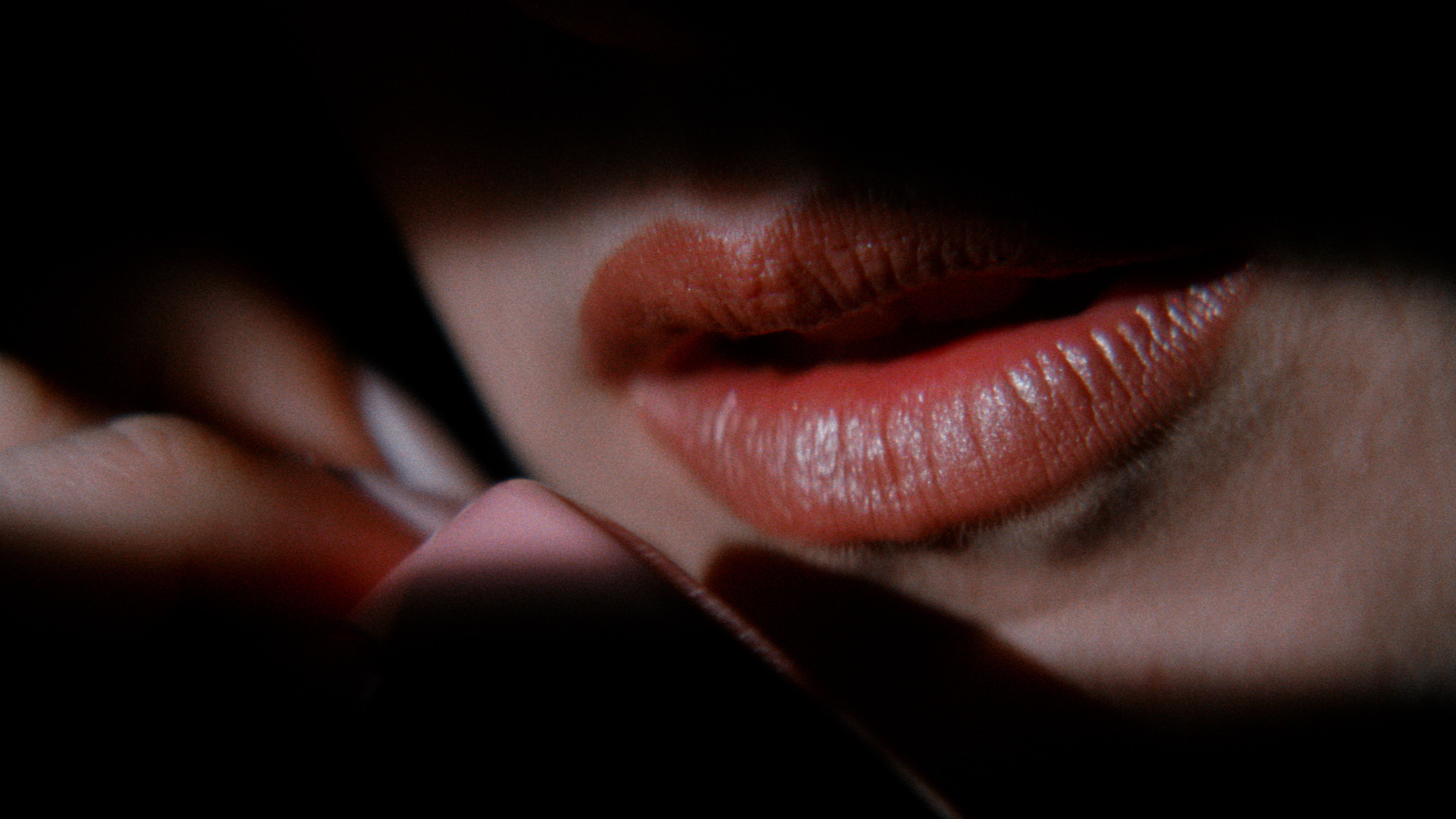 Lost Highway's poster