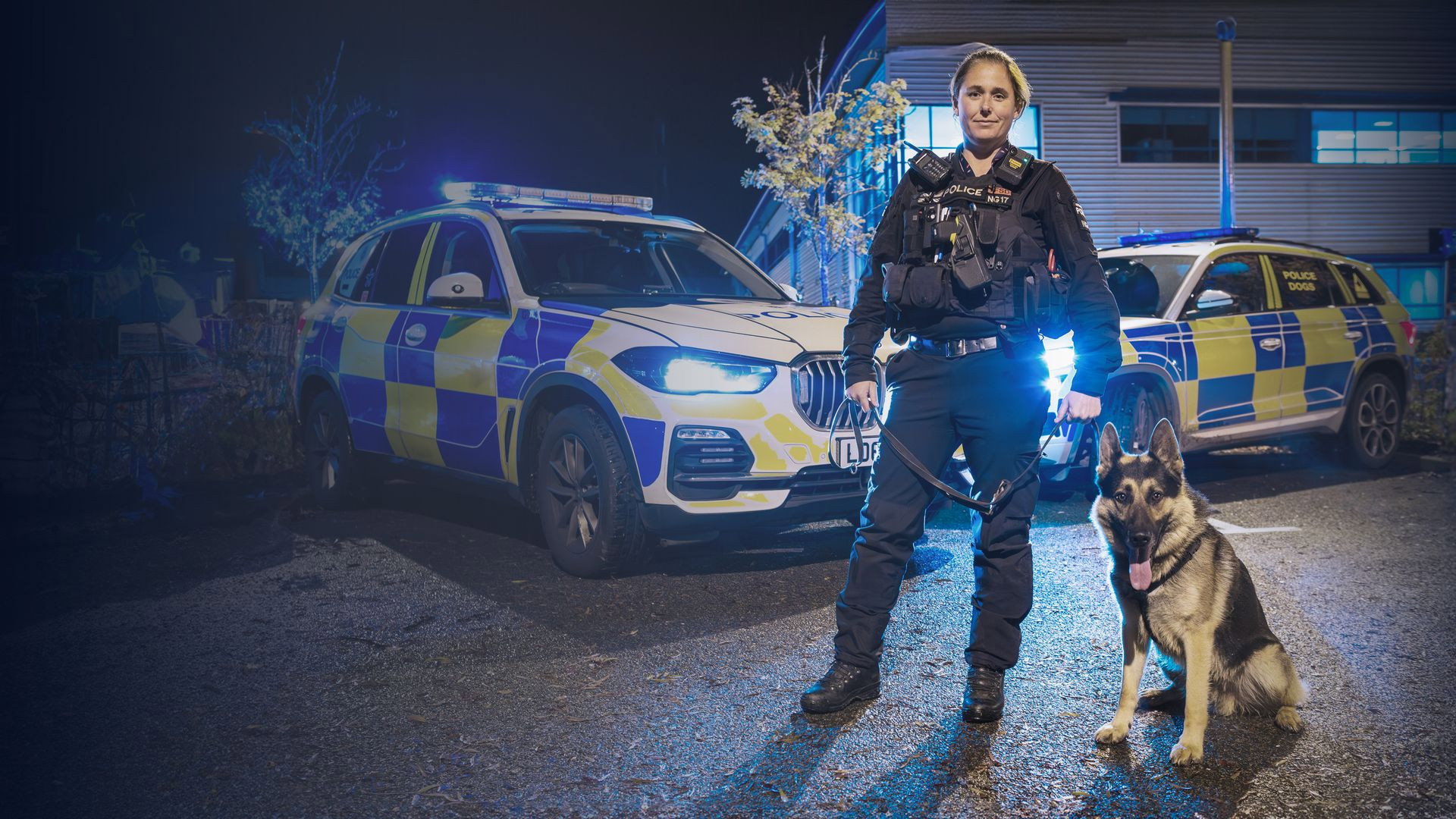 Police Interceptors's poster
