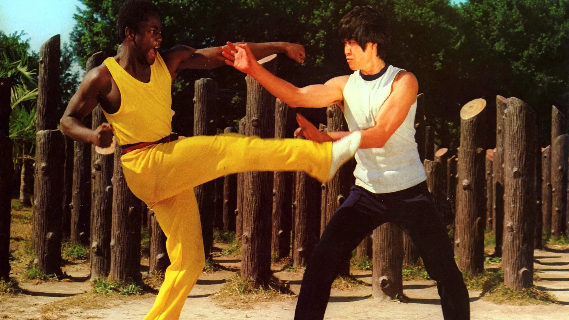 Kung Fu Executioner's poster