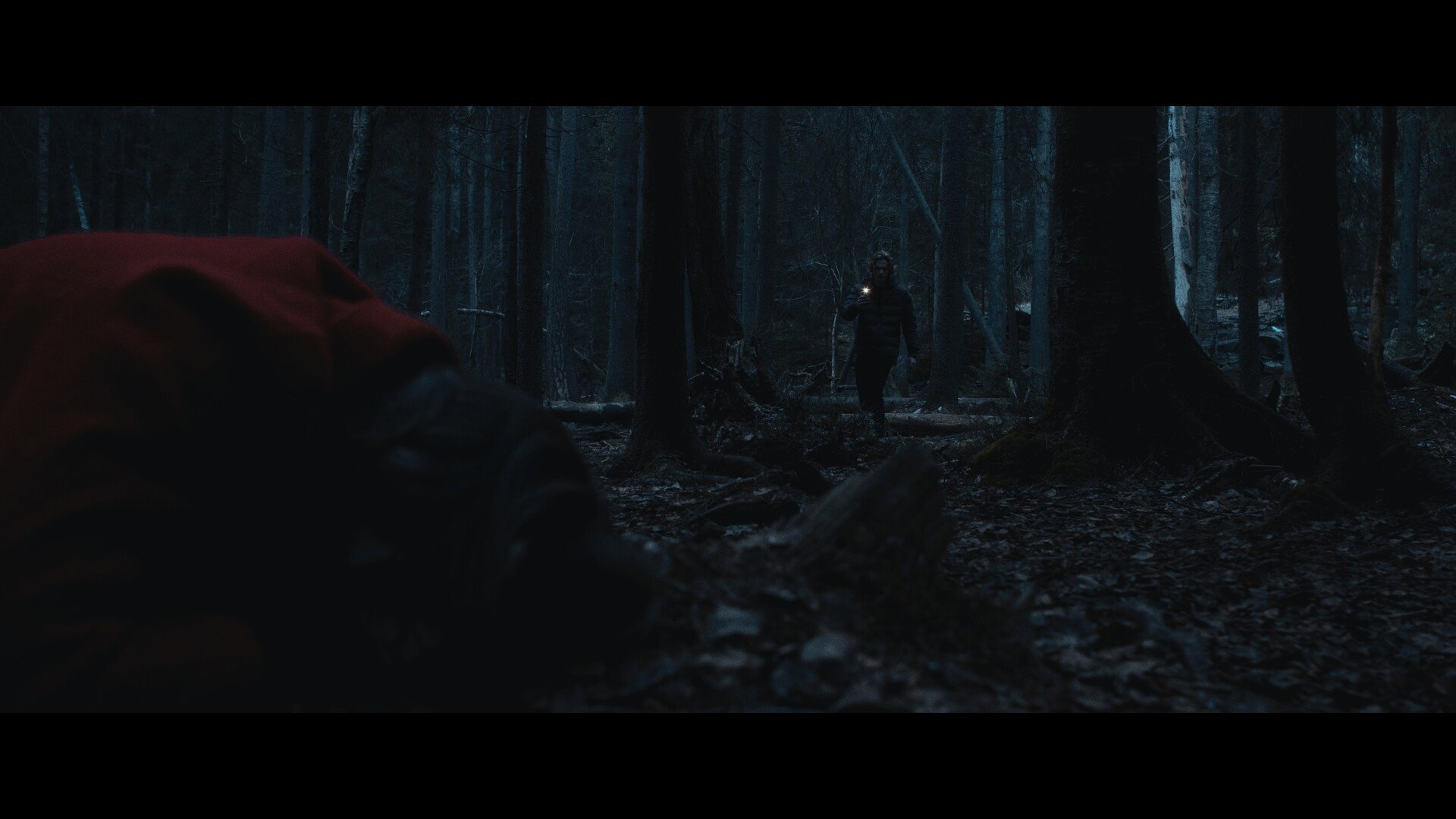Hollow's poster