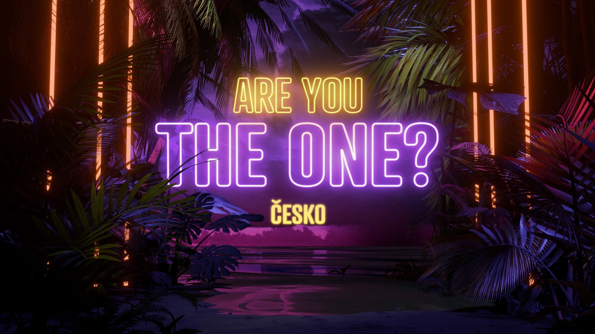 Are you the one?'s poster
