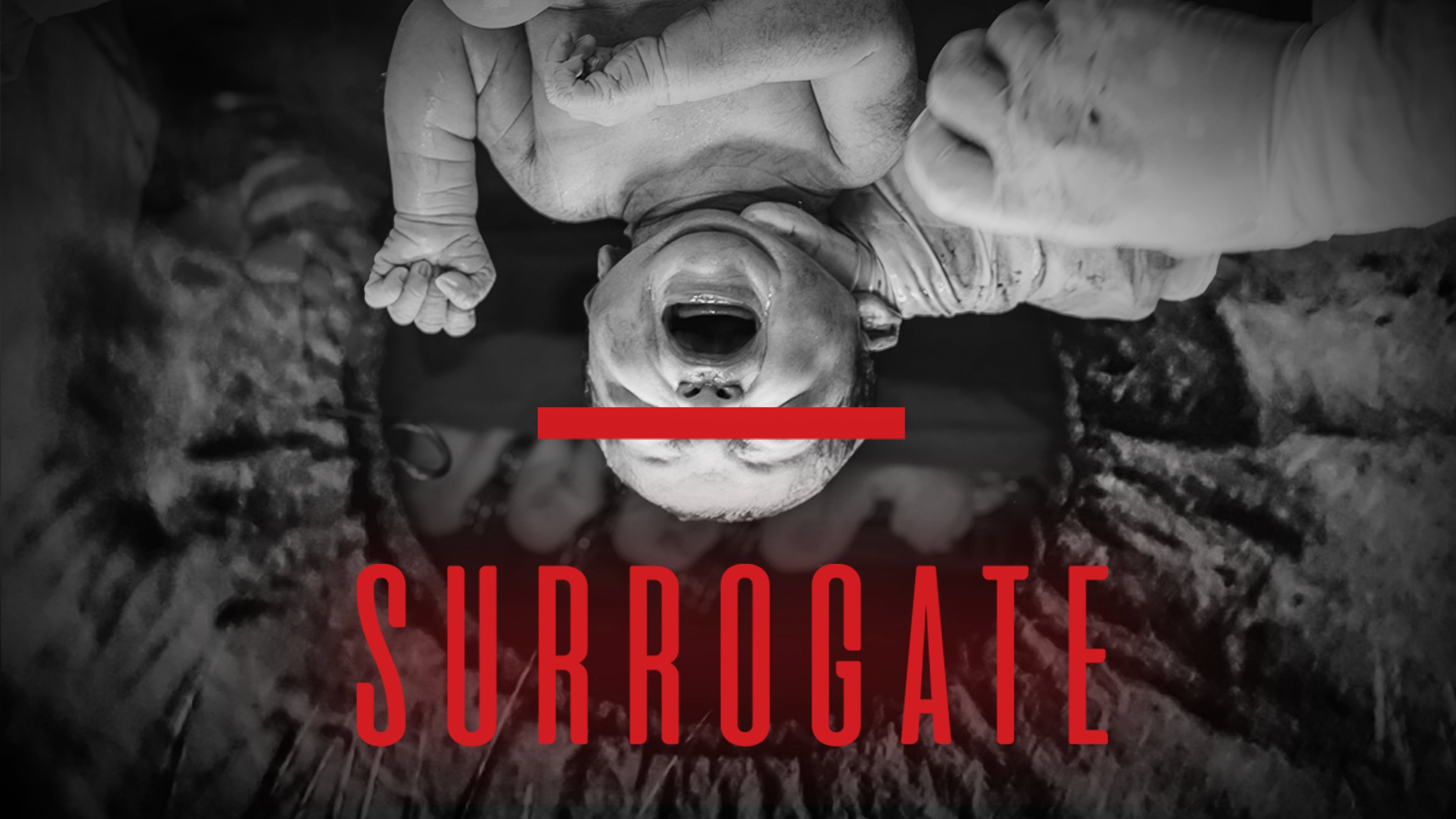 Surrogate's poster
