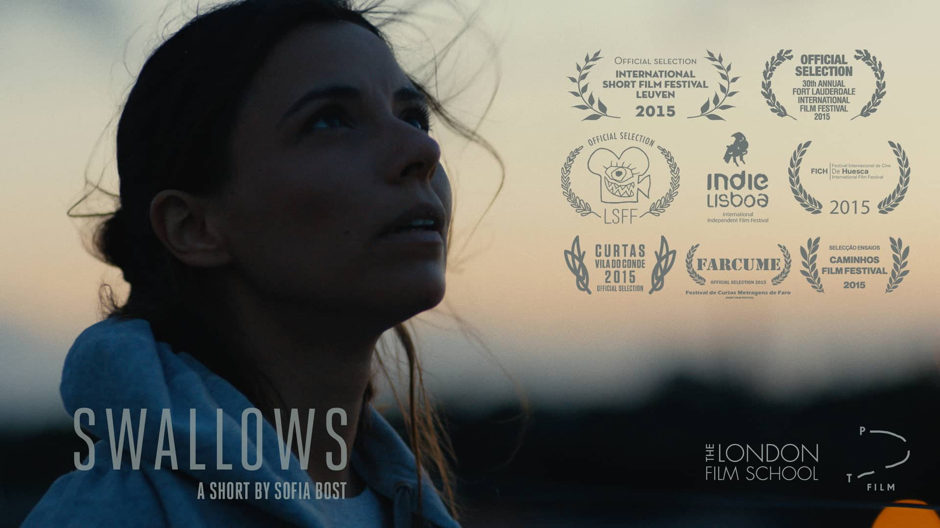 Swallows's poster
