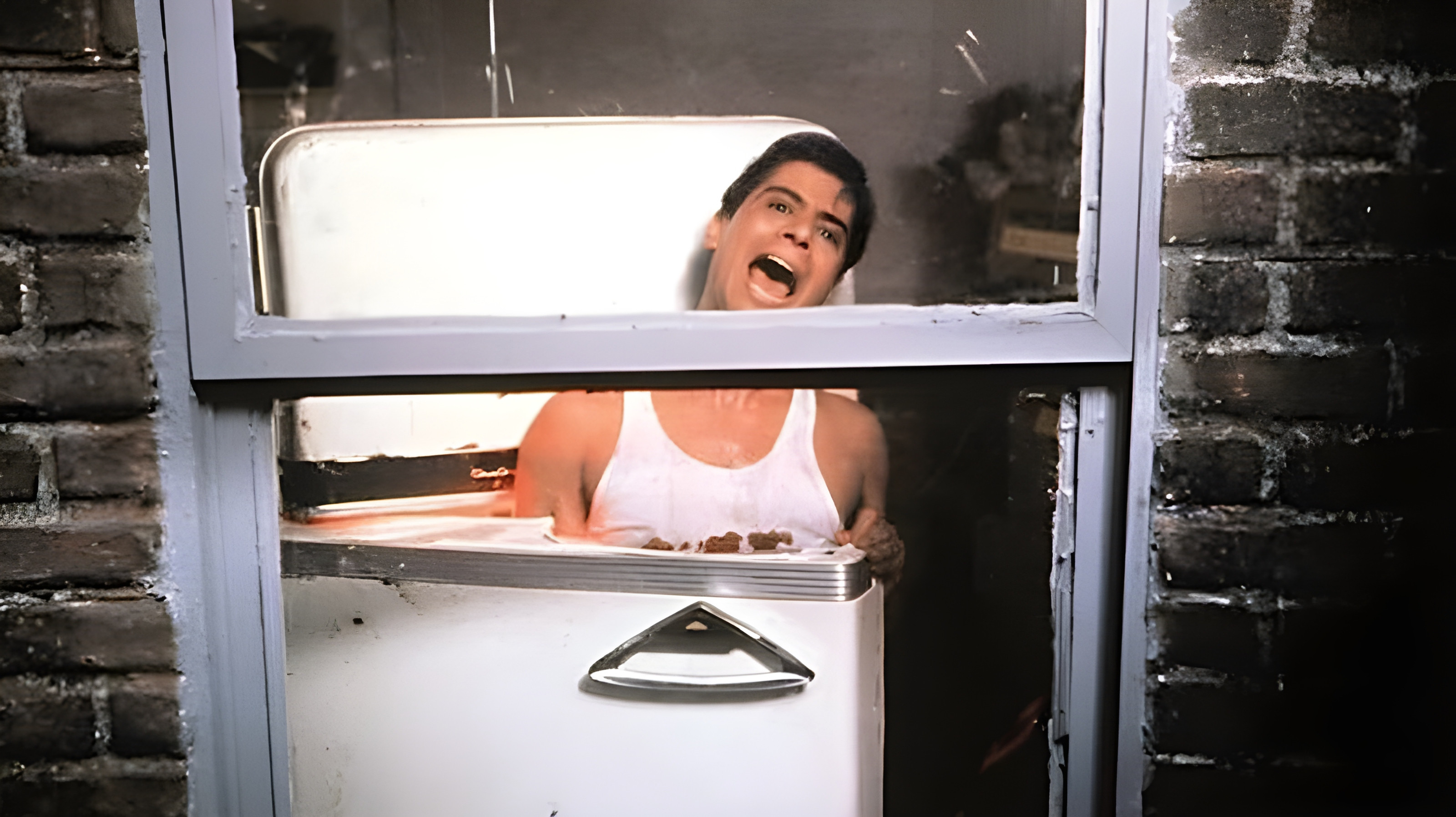 The Refrigerator's poster
