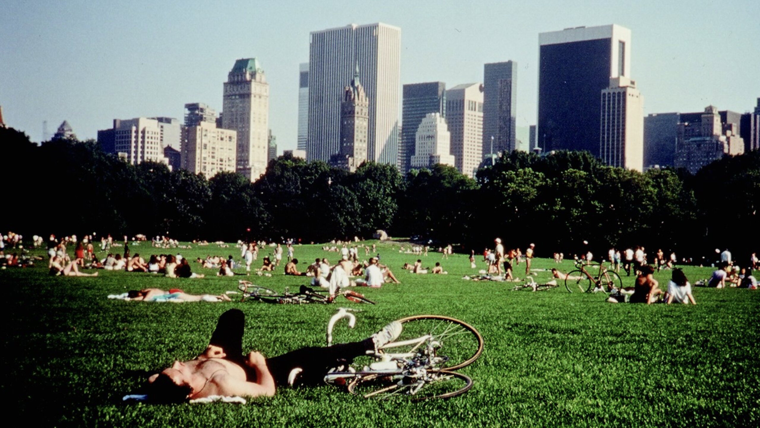 Central Park's poster