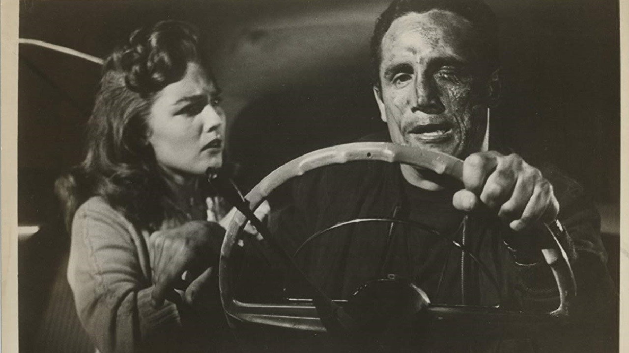 The Young Captives's poster