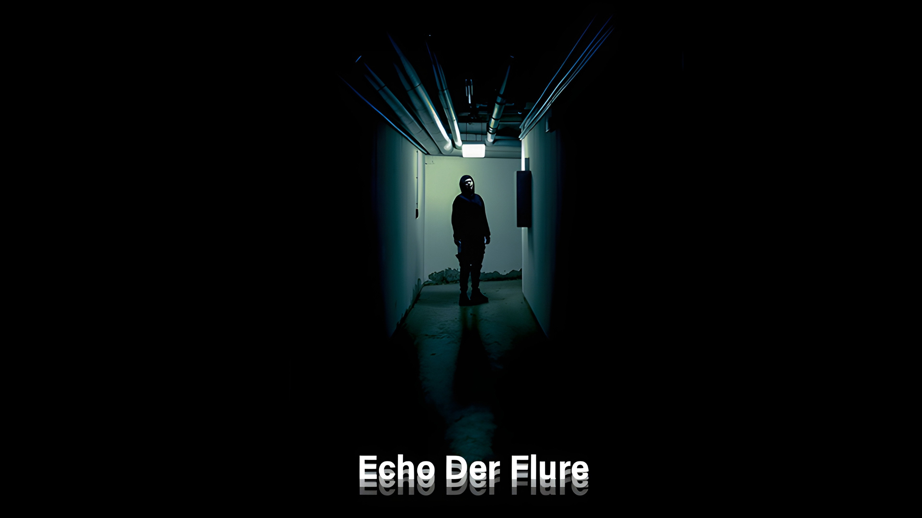 Echo der Flure's poster