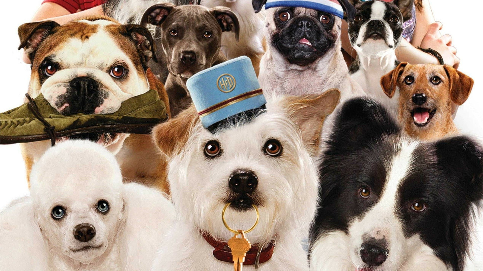 Hotel for Dogs's poster