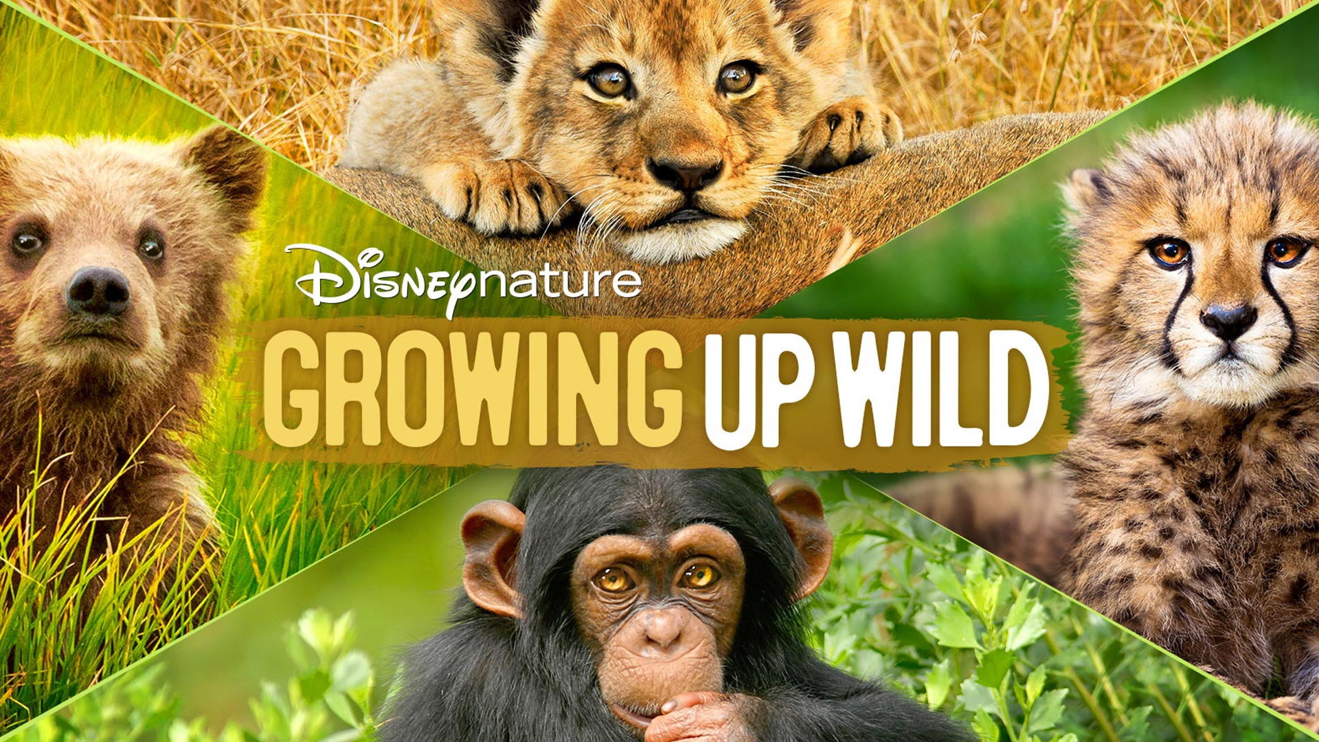 Growing Up Wild's poster