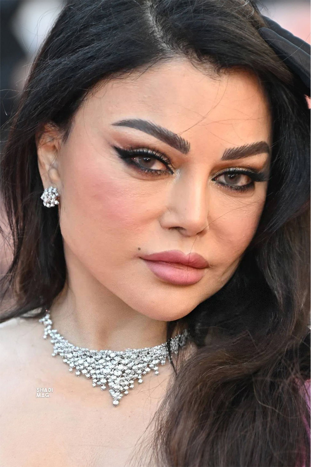 Haifa Wehbe's poster