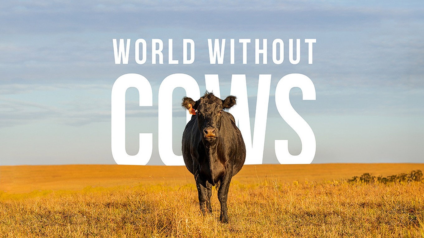 World Without Cows's poster