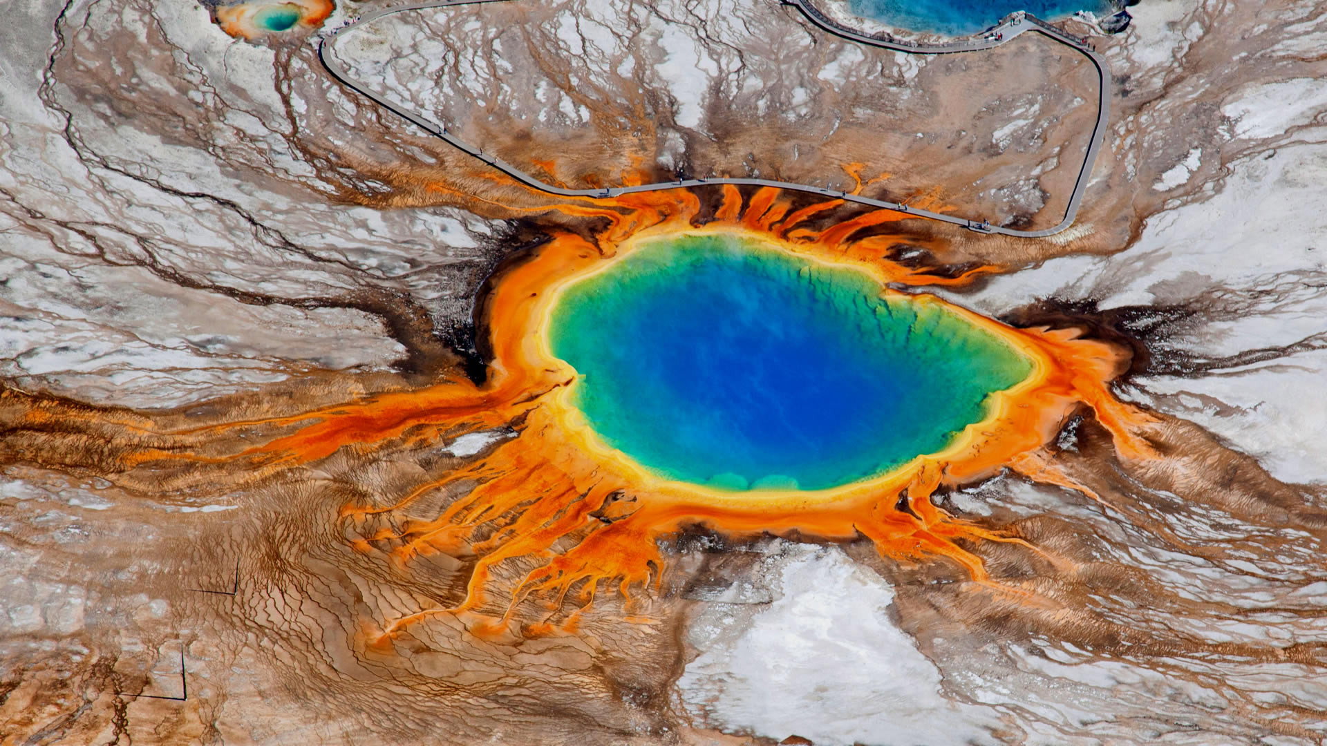 Yellowstone's poster