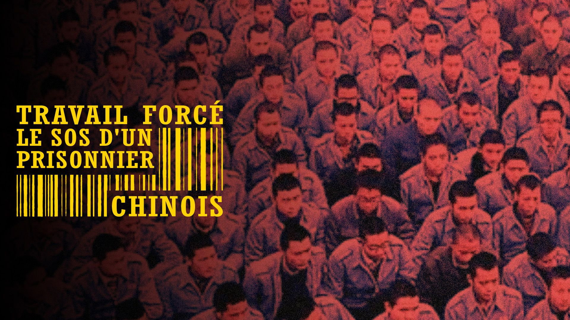 Forced Labour: SOS from a Chinese Prisoner's poster
