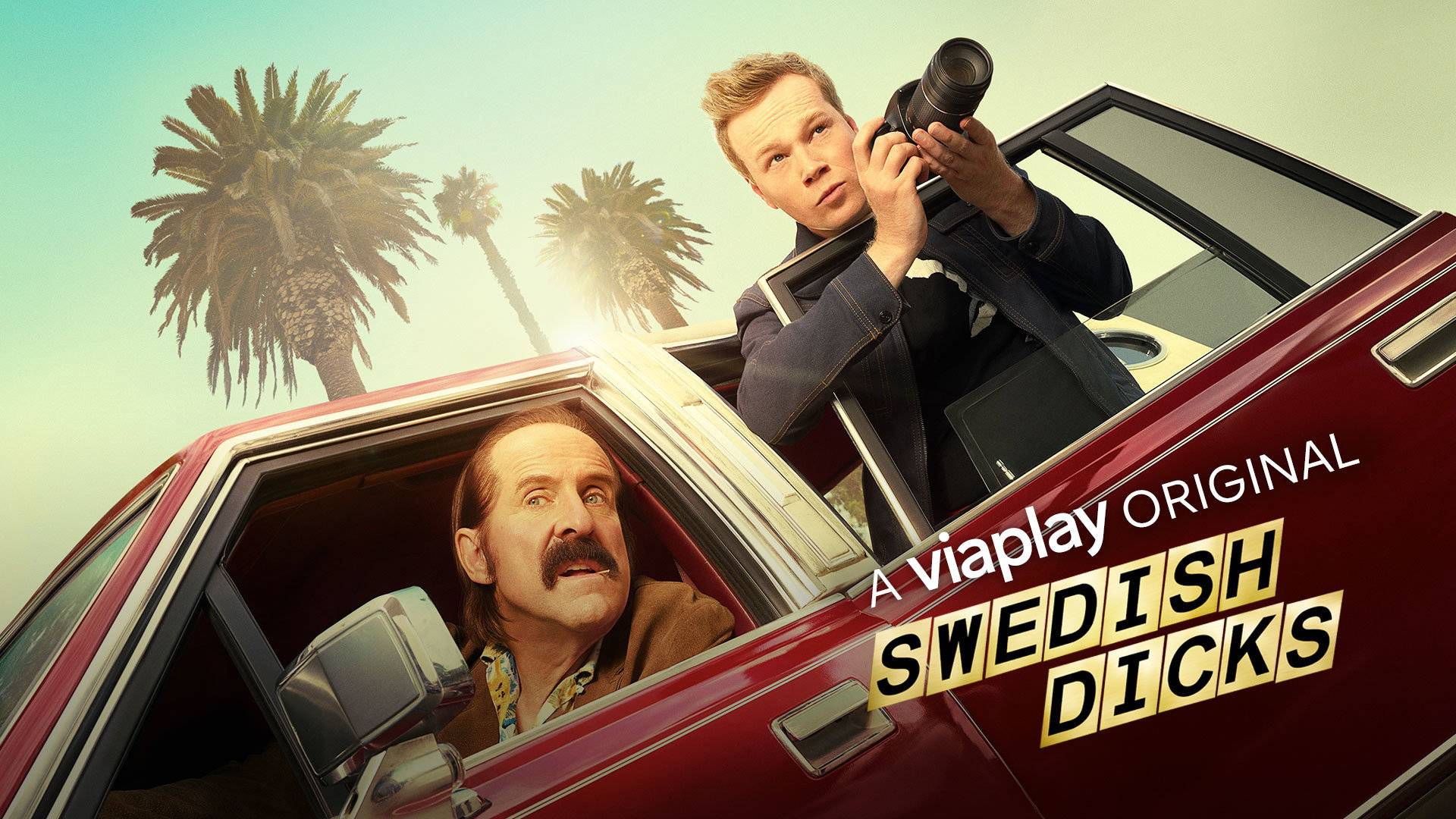 Swedish Dicks's poster