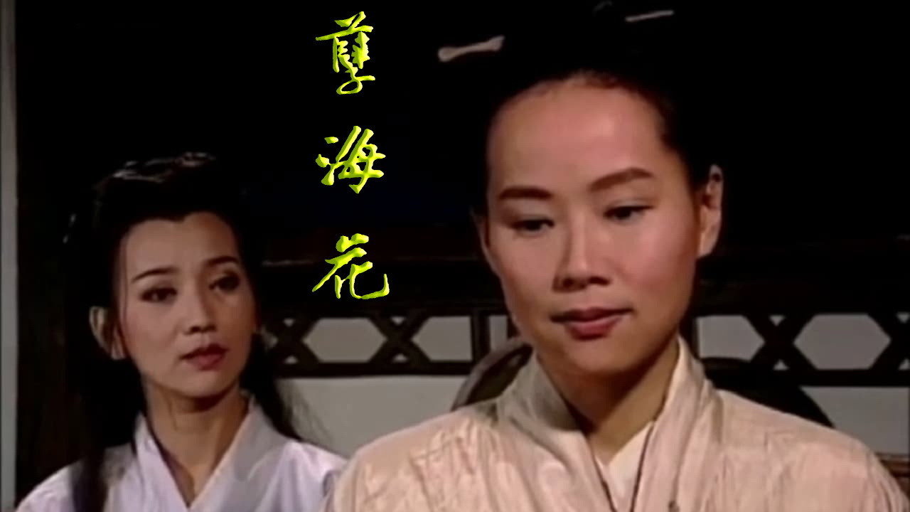 新孽海花传奇's poster