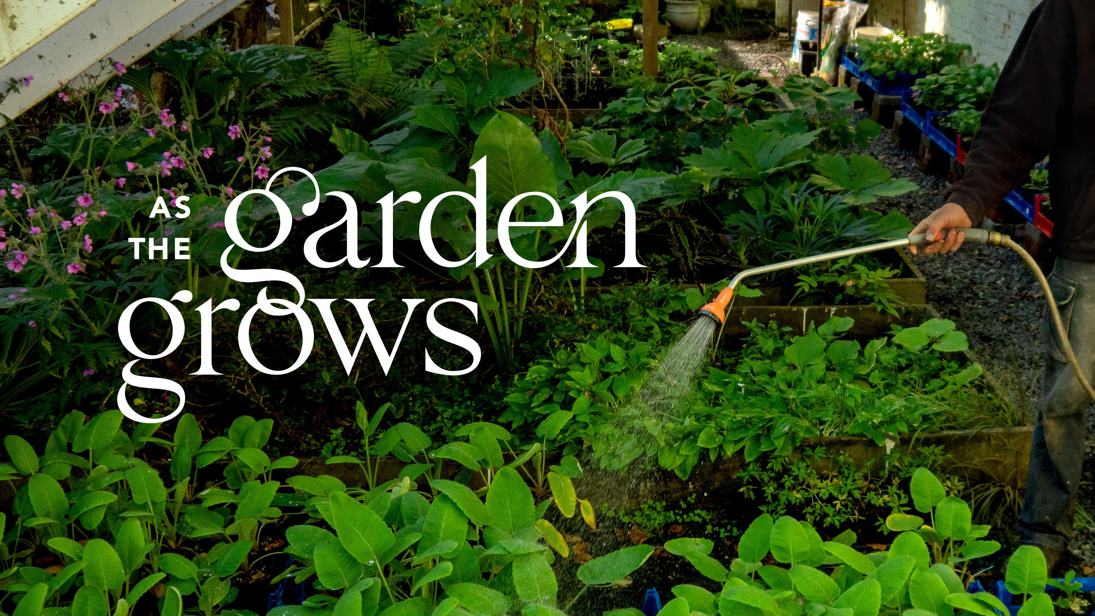 As The Garden Grows's poster