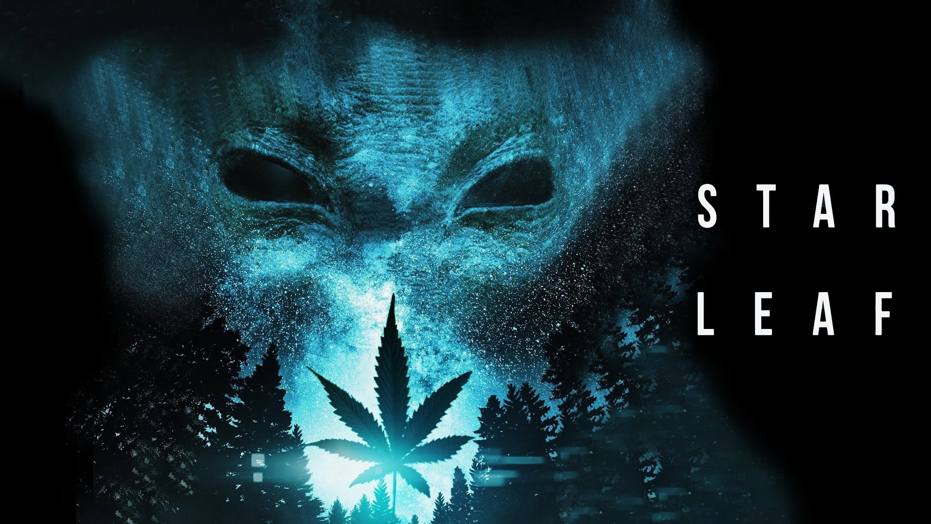 Star Leaf's poster