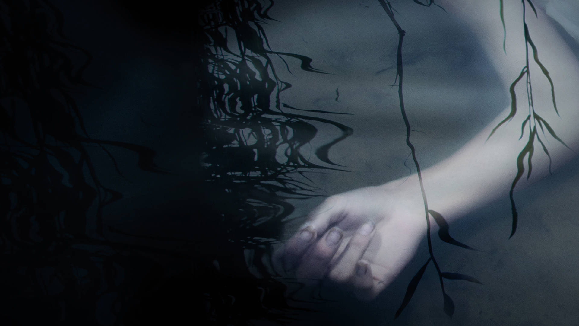 Murder in the Bayou's poster